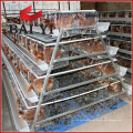 Jaula del pollo de la fuente de Alibaba China para la venta, gallineros baratos, jaula de pollo hexagonal galvanizada